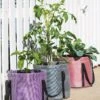 Reinforced Colorful Grow Bags -Garden Care Tools Sales 8600229 19957 tif