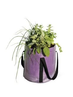 Reinforced Colorful Grow Bags 10 Reinforced Colorful Grow Bags -Garden Care Tools Sales 8600230 0948 tif