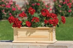 Savannah Window Boxes -Garden Care Tools Sales 8600461 04V tif