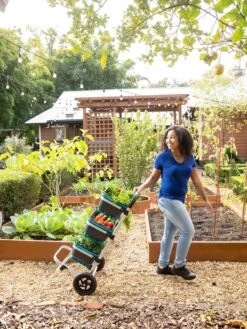 Mod Hod Trolley With Teal Mod Hods 9 Mod Hod Trolley With Teal Mod Hods -Garden Care Tools Sales 8610240 0070 tif