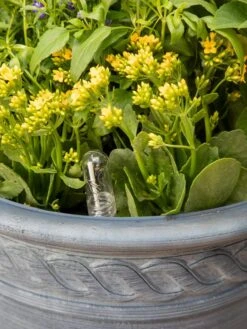 Adjustable Self-Watering Insert For Pots And Planters 21 Adjustable Self-Watering Insert For Pots And Planters -Garden Care Tools Sales 8610250 0010 tif