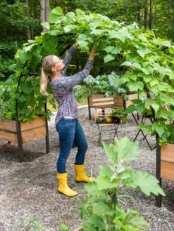 2’ X 8’ Arch Trellis For Planter Boxes -Garden Care Tools Sales 8610798 050 tif