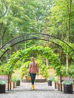 2’ X 8’ Arch Trellis For Planter Boxes -Garden Care Tools Sales 8610798 071 tif