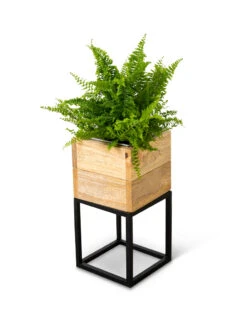 Tartu Elevated Square Planters 19 Tartu Elevated Square Planters -Garden Care Tools Sales 8611004 038