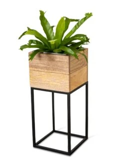 Tartu Elevated Square Planters 20 Tartu Elevated Square Planters -Garden Care Tools Sales 8611005 036