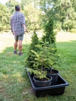 Gardener's Summer Sled And Cover 9 Gardener's Summer Sled And Cover -Garden Care Tools Sales 8611044 229 tif