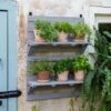 VegTrug® Herb Rack 2 VegTrug® Herb Rack -Garden Care Tools Sales 8611930 6402 tif