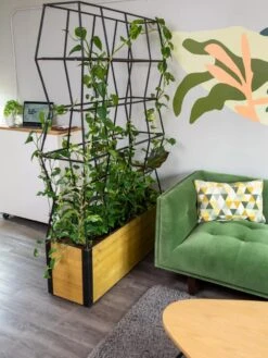 Self-Watering Partition Planter -Garden Care Tools Sales 8611952 001 tif