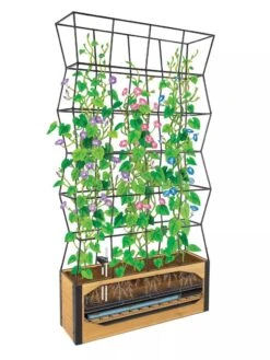 Self-Watering Partition Planter -Garden Care Tools Sales 8611952 art 3 4