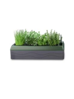 Provence Self-Watering Herb Planter 13 Provence Self-Watering Herb Planter -Garden Care Tools Sales 8611965 03V tif