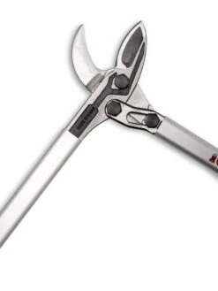 Castellari Long-Handled Anvil Lopper 11 Castellari Long-Handled Anvil Lopper -Garden Care Tools Sales 8611970 007 tif