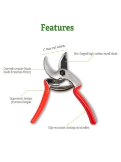 Castellari Mini Anvil Pruner 12 Castellari Mini Anvil Pruner -Garden Care Tools Sales 8612199 5
