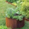 Birdies™ Corten Steel Round Raised Beds 1 Birdies™ Corten Steel Round Raised Beds -Garden Care Tools Sales 8612423 1537 tif