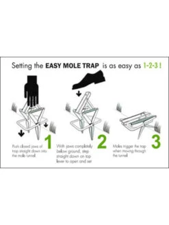 Easy Mole Trap 8 Easy Mole Trap -Garden Care Tools Sales 8612557 04v 1