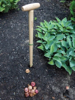 Wicked Big Dibber 10 Wicked Big Dibber -Garden Care Tools Sales 8612667 0028