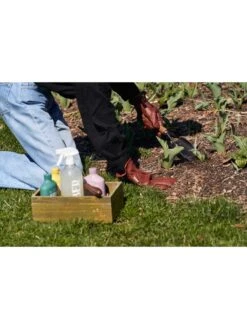 Organic Bio Protectant Outdoor -Garden Care Tools Sales 8612699 02v