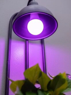 Kira Grow Light Hanging Planter -Garden Care Tools Sales 8613232 5663