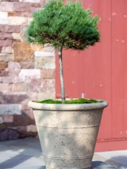 Self-Watering LavaStone® Anson Pot 11 Self-Watering LavaStone® Anson Pot -Garden Care Tools Sales 8613256 0135