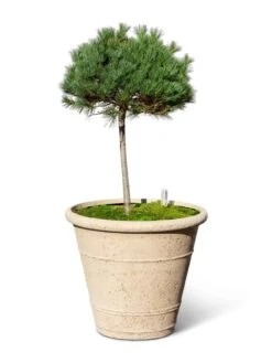 Self-Watering LavaStone® Anson Pot 13 Self-Watering LavaStone® Anson Pot -Garden Care Tools Sales 8613256 0138