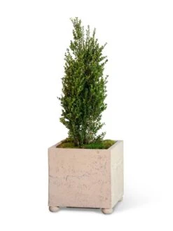 Self-Watering LavaStone® Modern Square -Garden Care Tools Sales 8613258 26