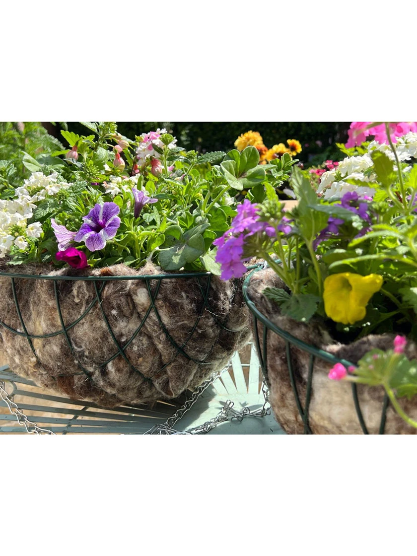 Hortiwool ® Hanging Basket Liner, Set Of 2 4 Hortiwool ® Hanging Basket Liner, Set Of 2 - Image 2