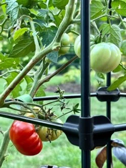 Oasis Self-Watering Tomato Planter With Trellis -Garden Care Tools Sales 8613440 01TEST