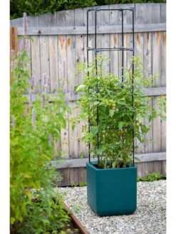 Oasis Self-Watering Tomato Planter With Trellis -Garden Care Tools Sales 8613440 0376 3 4 1