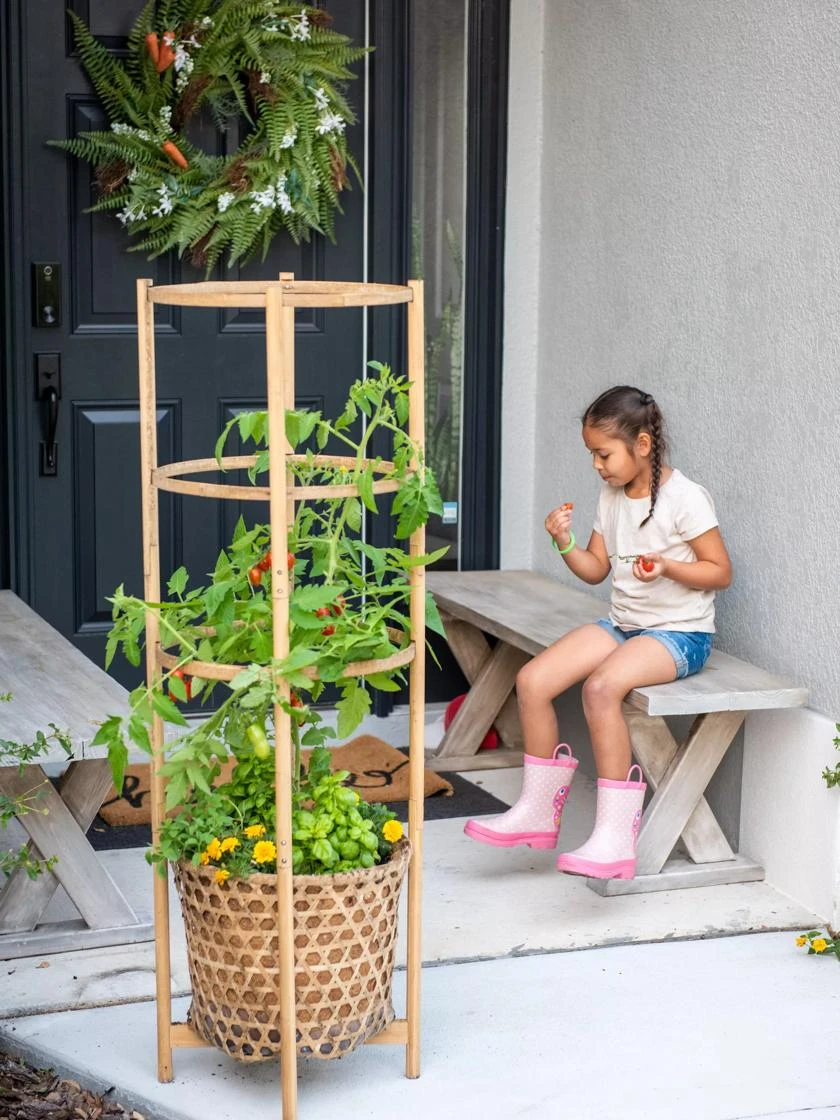 Elevated Bamboo Tomato Planter And Trellis 4 Elevated Bamboo Tomato Planter And Trellis - Image 2