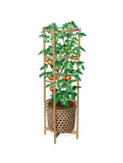 Elevated Bamboo Tomato Planter And Trellis 15 Elevated Bamboo Tomato Planter And Trellis -Garden Care Tools Sales 8613502 art flat