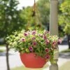 Self-Watering Hanging Basket 2 Self-Watering Hanging Basket -Garden Care Tools Sales GS34368 10 tif