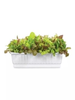 31" Self-Watering Window Box -Garden Care Tools Sales GS36523 01Z 3 4