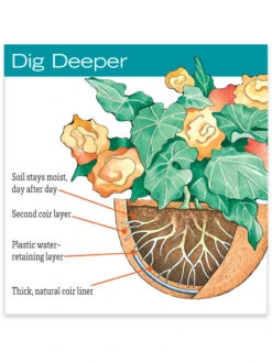 AquaSav™ Replacement Liners, Set Of 3 -Garden Care Tools Sales hiw 38 583